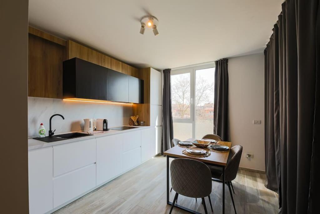 Luxury Apt. Near River & Parking Timişoara Exteriör bild